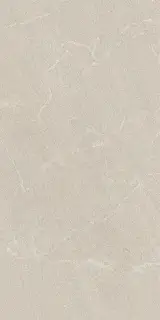 Керамогранит 44ZA09A Zarci Greige Antislip 60х120