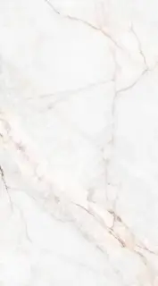 Керамогранит 39499 Dahlia White SP/100X180/R 100x180