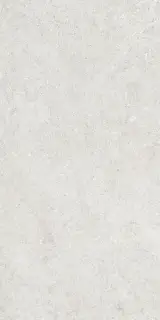 Керамогранит 36904 Cluny Silver 4D/50X100X2/A/R 50x100