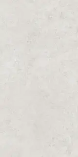 Керамогранит 36357 Cluny Silver AS/60X120/C/R 60x120