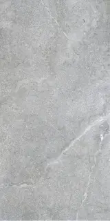 Керамогранит 29853 Lucca Grey AS/60X120/C/R 60x120