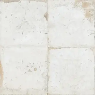 Плитка 29295 Fs Roots-0 45x45