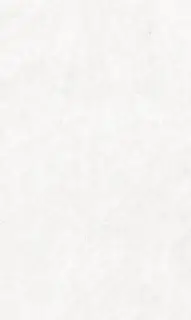 Керамогранит 25841 Nature White SF/75,5X151/C/R 75,5x151