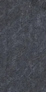 Керамогранит 25821 Nature Anth SF/60X120/C/R 60x120