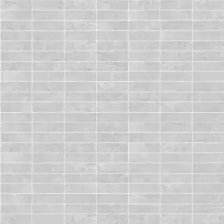 Мозаика 23507 D.Ground Silver Spac/30X30/SF 30x30