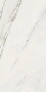 Керамогранит 188223 Calacatta Superwhite Rec 60x120