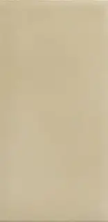 Плитка YY88 Amarcord Tabacco Matt 10x20