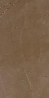 Керамогранит Delux Bronze Refl. Rett 29,5х59