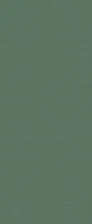 Плитка I360 Lilysuite Green 50x120