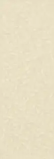 Плитка ELGDEM02 DECORO BONE MATT 35x102