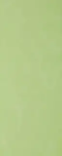 Плитка BG41 Verde Scuro 20*50