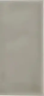 Плитка ADST1027 Liso Graystone 9,8x19,8