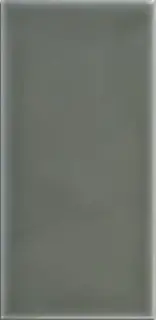 Плитка ADST1022 LISO EUCALYPTUS 9.8X19.8