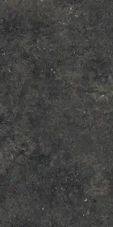 Керамогранит 610015000424 Room Black Stone Pat Ret 60x120