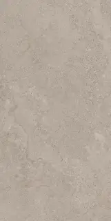 Керамогранит 31821 Chicago Mocha NT/60x120/P R10 60х120