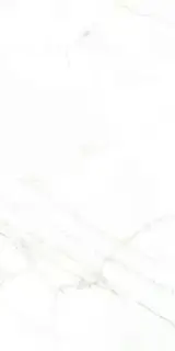 Керамогранит 31739 Dual White NT 60x120