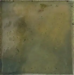 Плитка 30014 Wild Olive 10х10