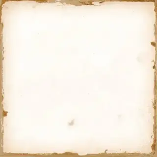 Плитка 29422 CASABLANCA WHITE 12,5x12,5