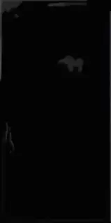 Плитка 187814 Ibiza Negro 12,5х25