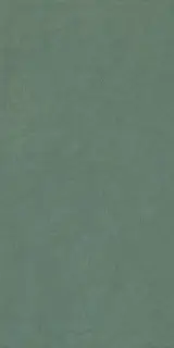 Керамогранит 05222 Homey Sage Nat/Ret 60x120