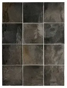 Плитка 30011 Black Ash 10х10