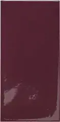 Aubergine