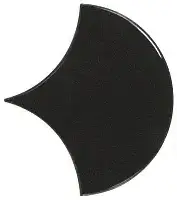 Black Fan