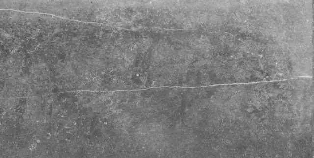 Colorker Kainos Керамогранит Серый 59x119 220781