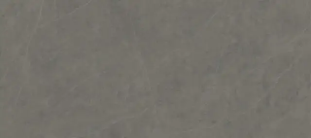 Xlight by Porcelanosa Liem Керамогранит Серый 120x270 100332248