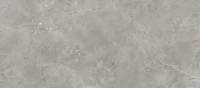 Xlight by Porcelanosa Fiori Di Bosco Керамогранит Серый 120x270 100332605