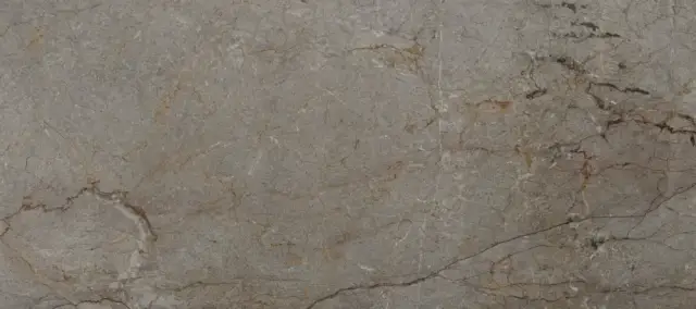 Xlight by Porcelanosa Astana Керамогранит Серый 120x270 100332419