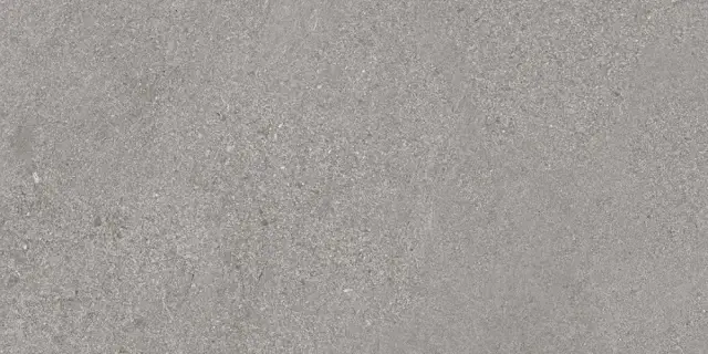 Mirage Motley Керамогранит Серый 60x120 BGT2