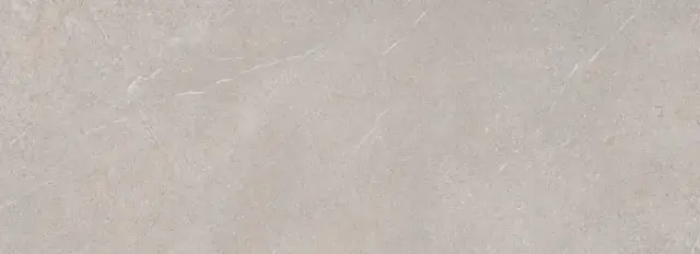 Museum Piemonte Керамогранит Серый 100x275 40743