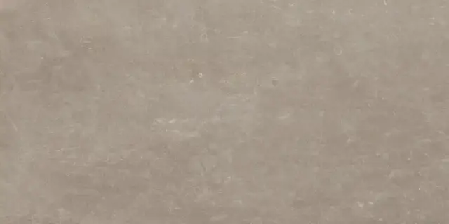 Mirage Regea Керамогранит Серый 60x119 CGZ4