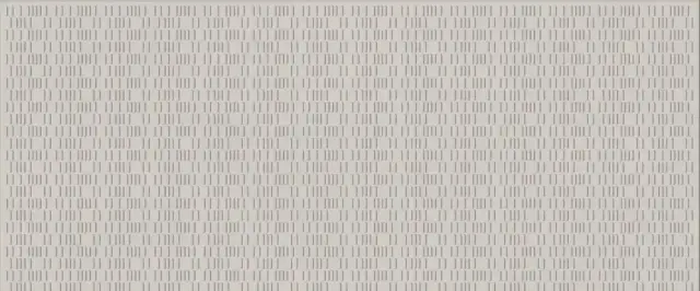 Mirage Terrae Керамическая Плитка Серый 50x120 CHK2