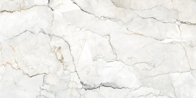 Geotiles Sauvage Керамогранит Серый 60x120