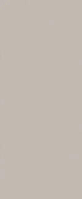 TRUE COLOR 50X120 FOSSIL MATT