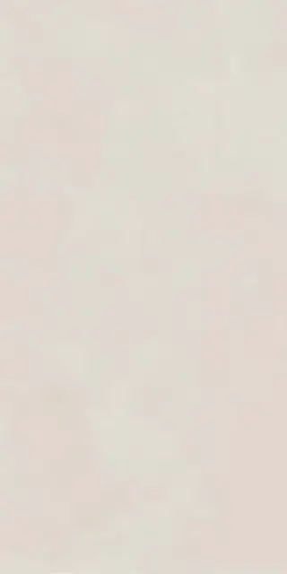 Syntech WHITE 60X120 R9 RT