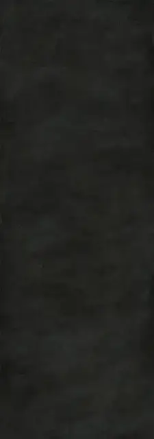 Seta Liquorice 100х300 3+