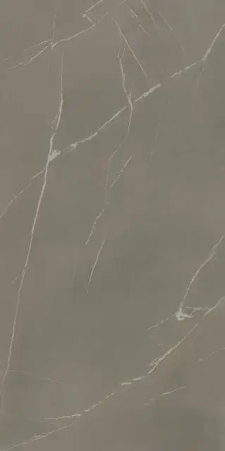 IN-SIDE Pietra Piasentina Grigio Fiammato 162х324 20+