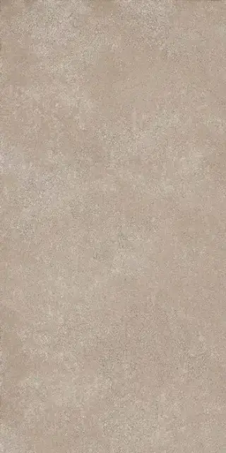 Geo WALNUT 30X60 R9 RT