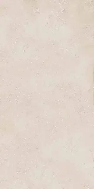 Geo WHITE 60X120 R10 RT