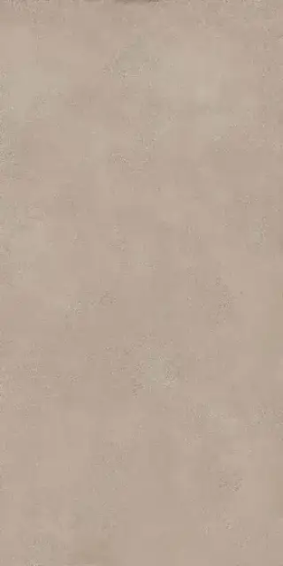 Geo WALNUT 60X120 R9 RT