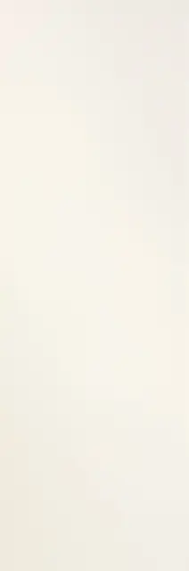 Filo Brina 100х300 3+