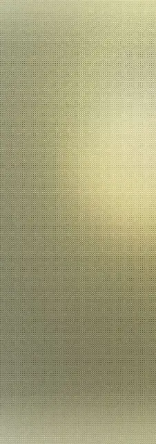 Filo Oro 100х300 3+