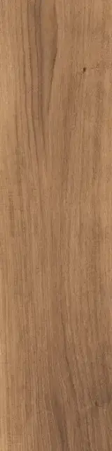 Evoke BROWN 30X120X2 SPRT