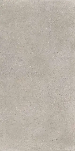 District SILVER 60X120 R10 RT