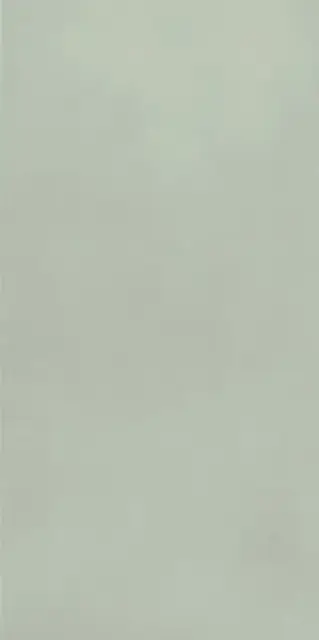 COLOR MOOD 80X160 MENTA MATT