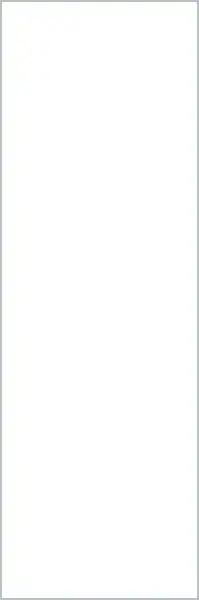 Collection Bianco Assoluto 100х300 3+