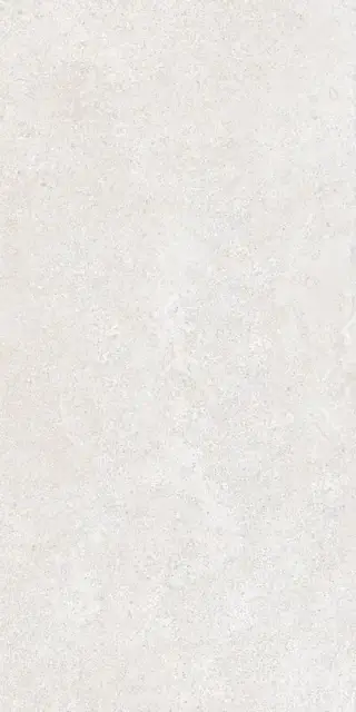 Brystone WHITE 60X120 R10 RT